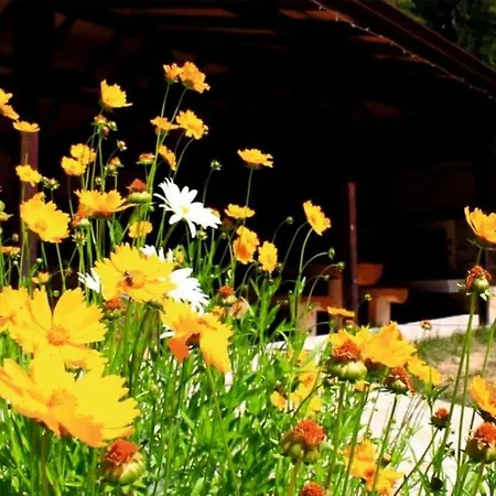 Forest Retreat, Stream Resort, Pamporovo