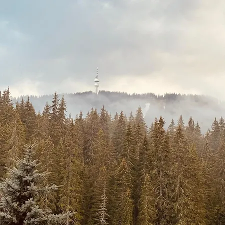 Forest Retreat, Stream Resort, Pamporovo *