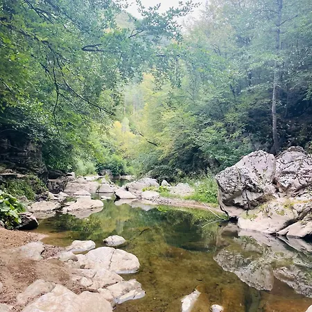 Apartman Forest Retreat, Stream Resort, Pamporovo *