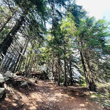 Apartman Forest Retreat, Stream Resort, Pamporovo