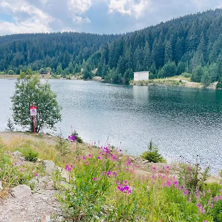 Forest Retreat, Stream Resort, Pamporovo Apartman *