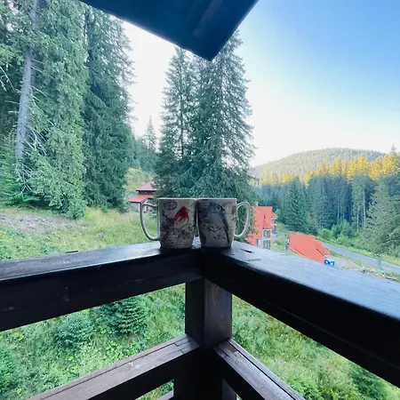 Forest Retreat, Stream Resort, Pamporovo