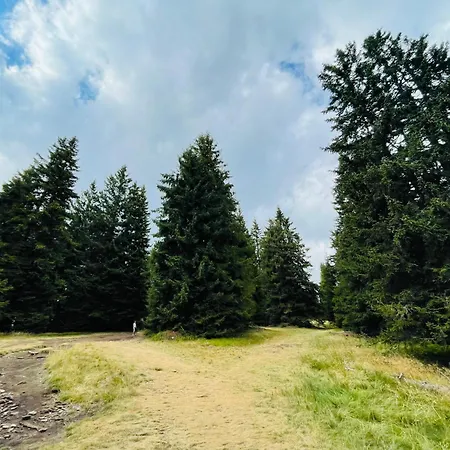 Forest Retreat, Stream Resort, Pamporovo *