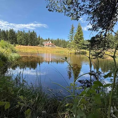 Forest Retreat, Stream Resort, Pamporovo *