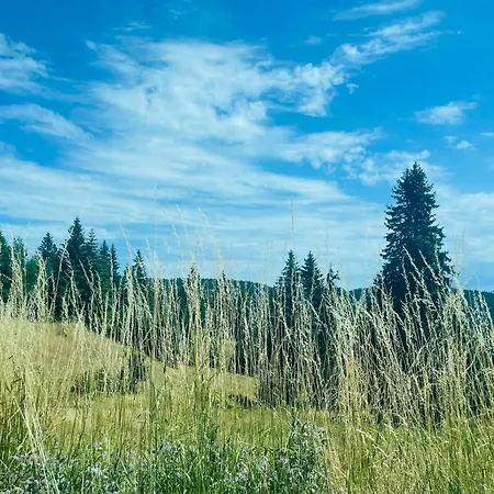 Forest Retreat, Stream Resort, Pamporovo Apartman *