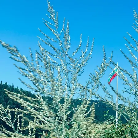 Forest Retreat, Stream Resort, Pamporovo