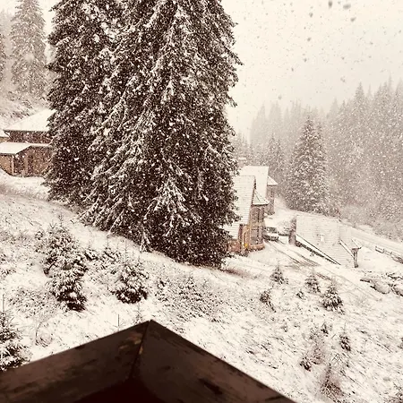 Forest Retreat, Stream Resort, Pamporovo Apartman