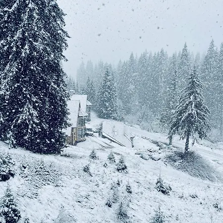 Forest Retreat, Stream Resort, Pamporovo Appartement