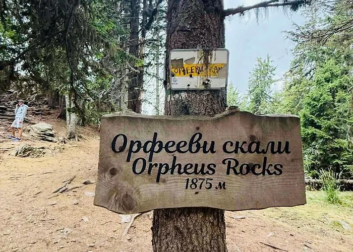 Forest Retreat, Stream Resort, Pamporovo Stoykite