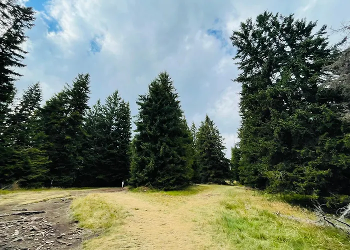 Forest Retreat, Stream Resort, Pamporovo *