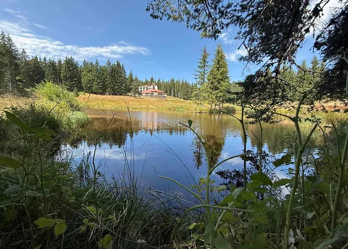 Forest Retreat, Stream Resort, Pamporovo *
