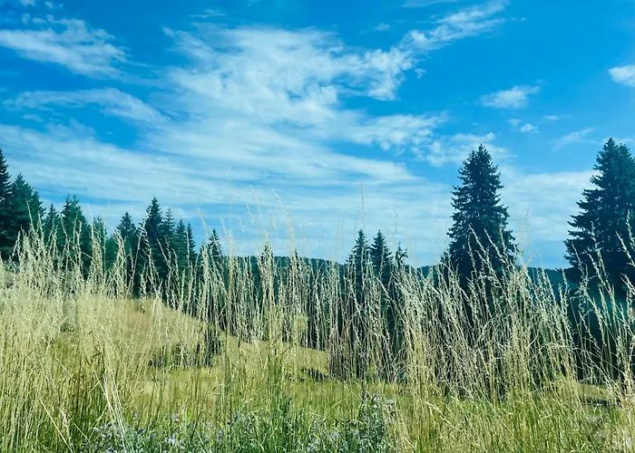 Forest Retreat, Stream Resort, Pamporovo Apartment *