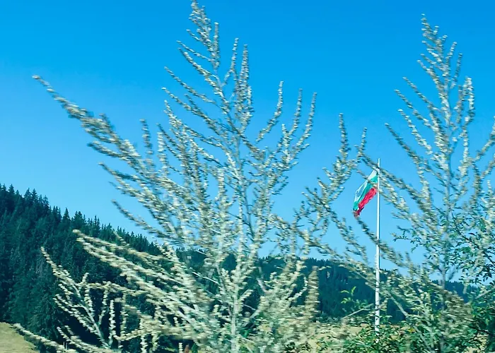 Forest Retreat, Stream Resort, Pamporovo